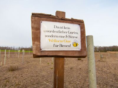 Kräutergarten - Wellness Oase für Bienen!