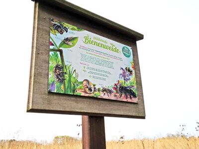 Schild "blühende Bienenweide"