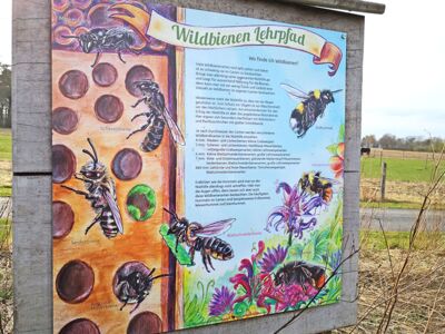 Schild Wildbienen Lehrpfad